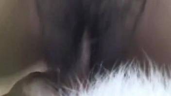 Lovely girls play dirty games with dogs' penises