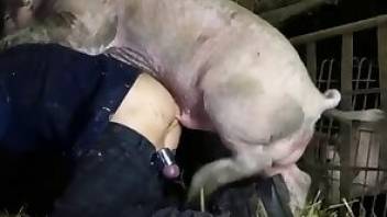 Zoo porn is the best kind of hot porn